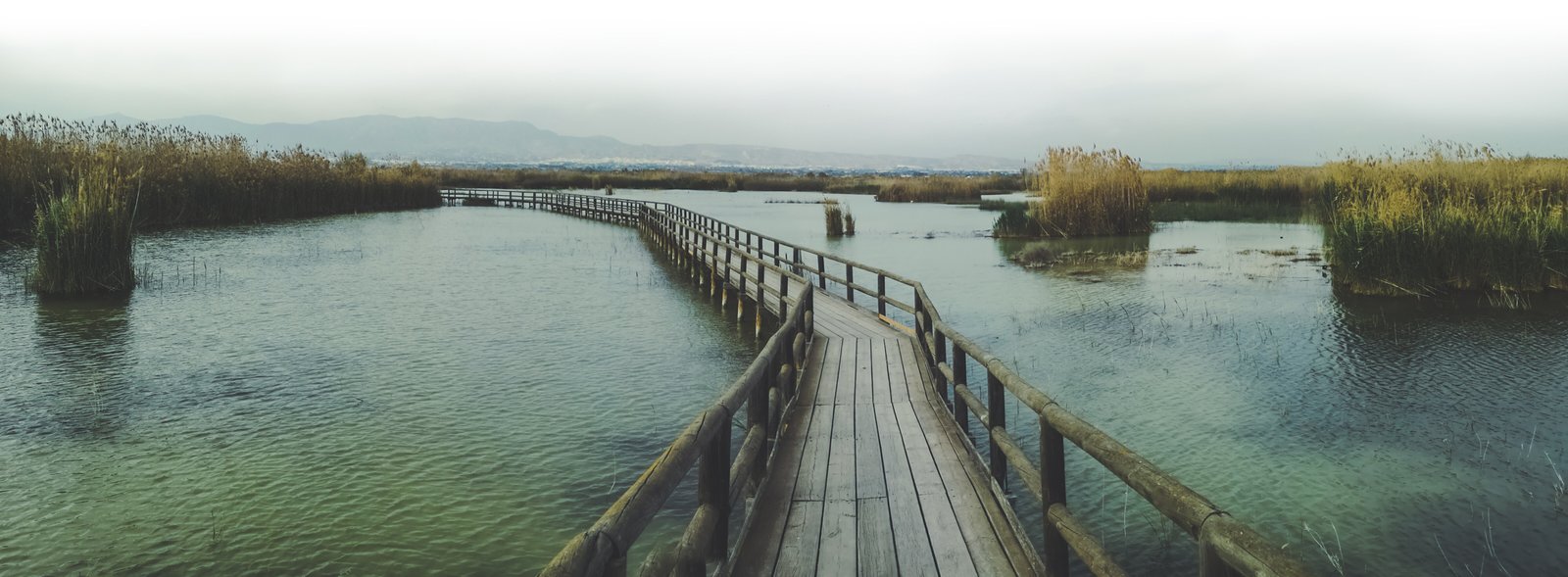 El Hondo Nature Park, Spain