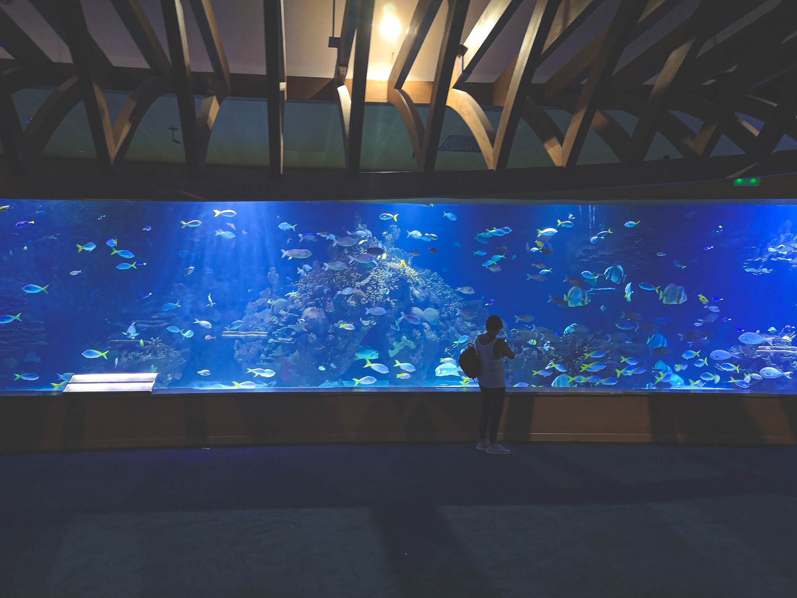 The Oceanographic in Valencia, Spain