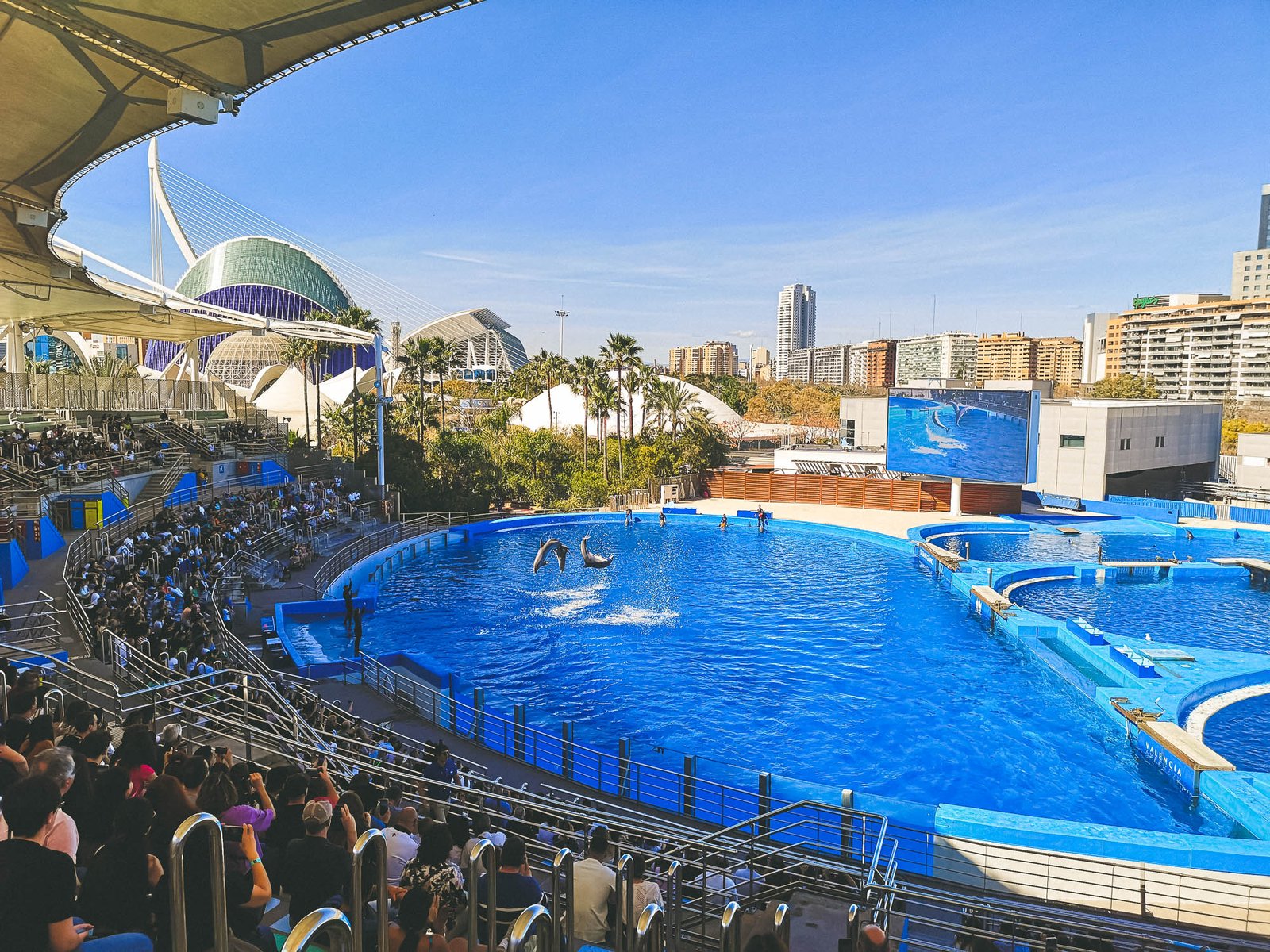 The dolphinarium in teh Oceanographic in Valencia, Spain