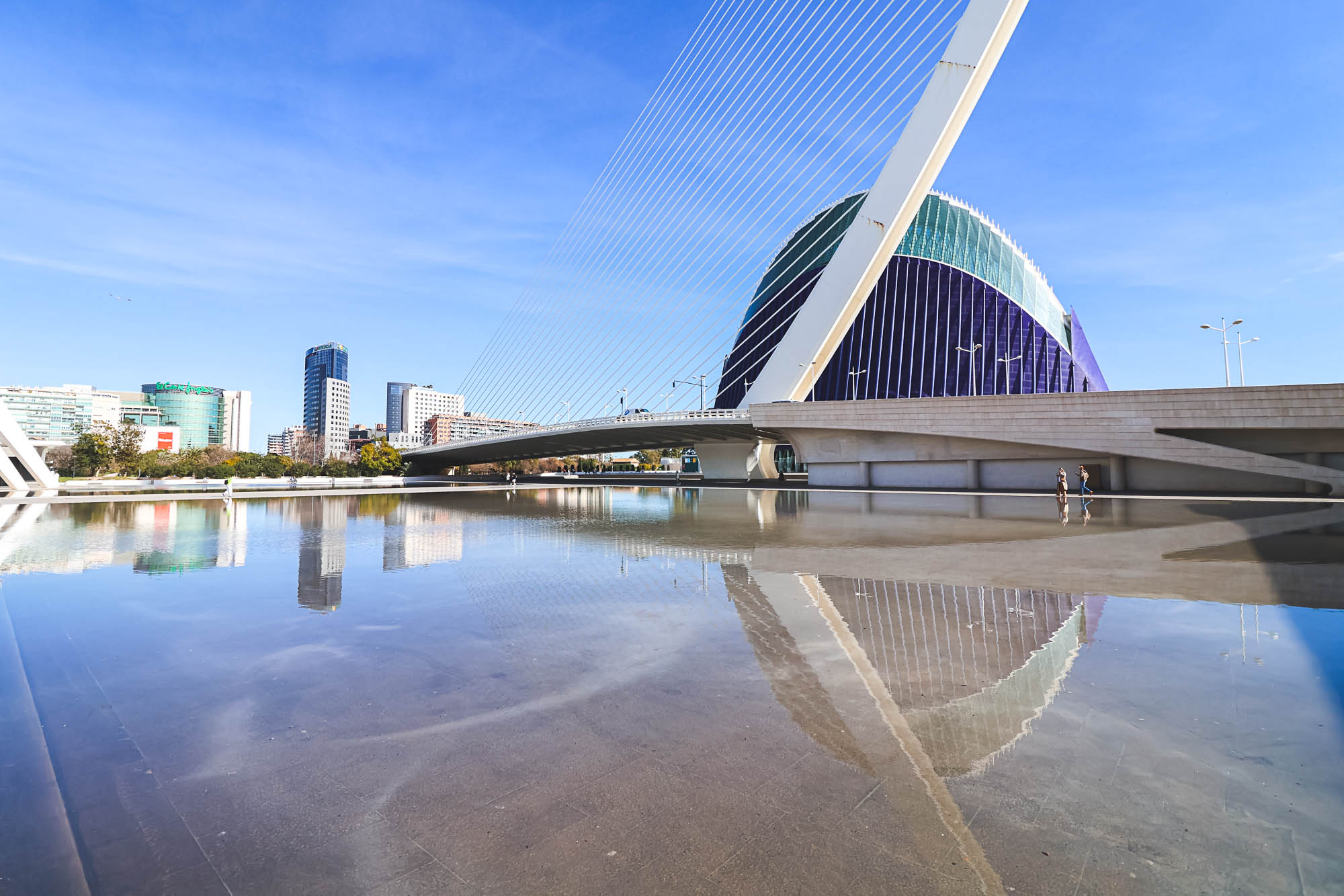 Assut de l'Or Bridge (Puente del Azud del Oro) by Santiago Calatrava over the Turia Gardens (Jardín del Turia)