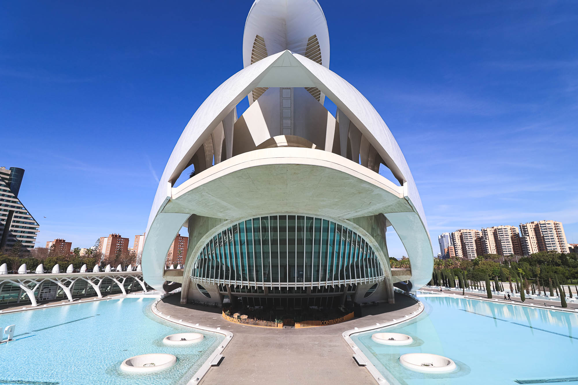 The back shot of Palau de les Arts Sofia Reina in the City of Arts and Sciences of Valencia