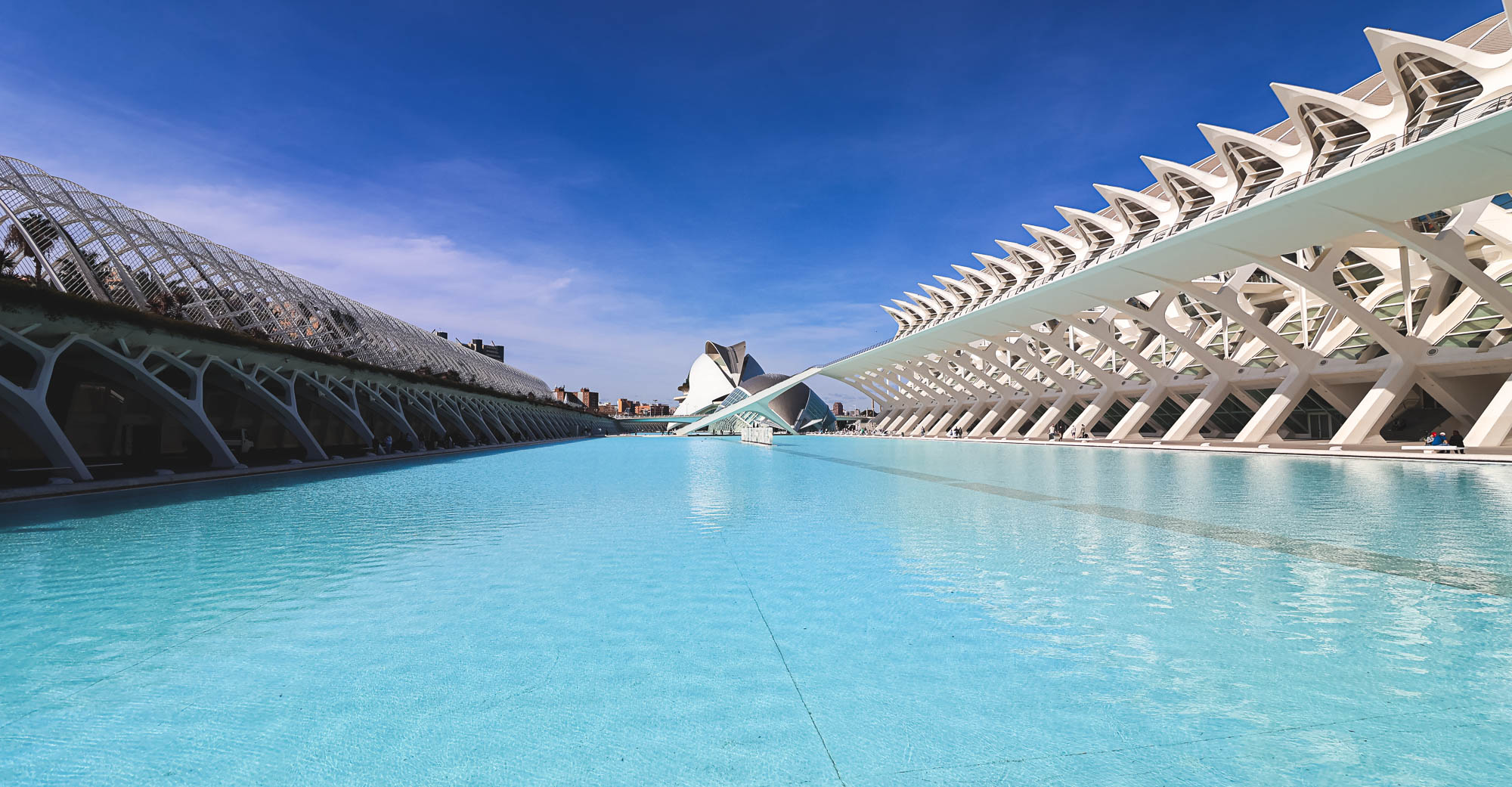 The amazing City of Arts and Sciences in Valencia