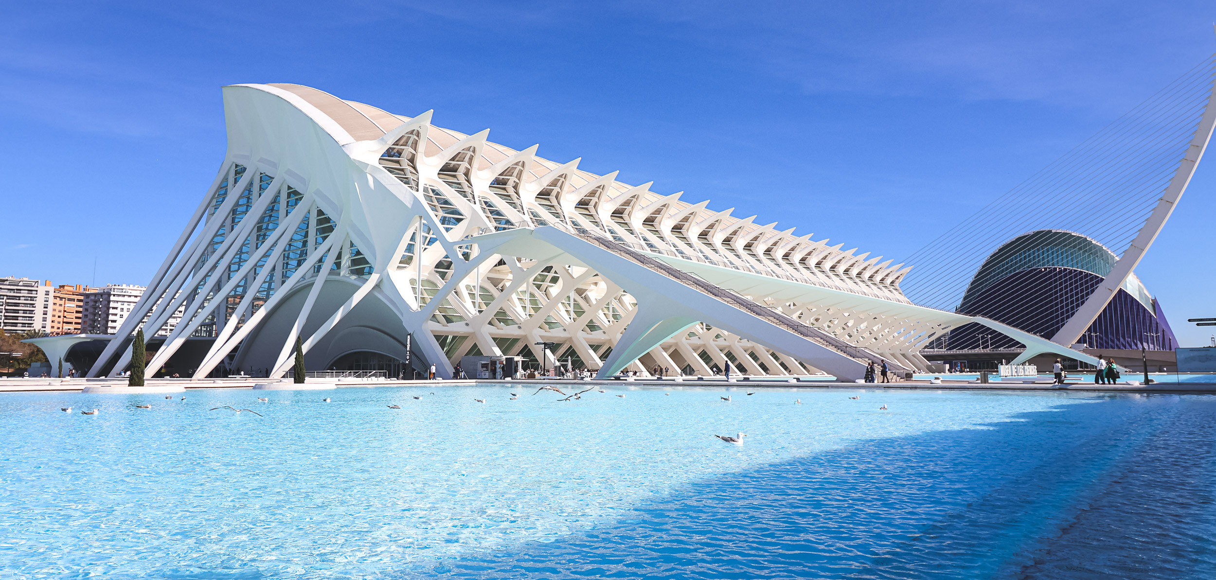 The white curved structures of the City of Arts and Sciences mirrored in a still blue pool