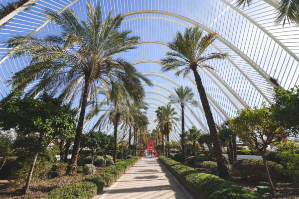 The interior of L'Ubracle in the City of Arts and Sciences of Valencia 2