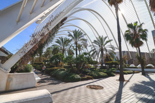 The interior of L'Ubracle in the City of Arts and Sciences of Valencia