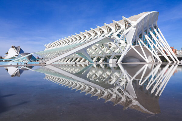 The Museum of Sciences Príncipe Felipe with other buildings of the City of Arts and Sciences in the background, Valencia