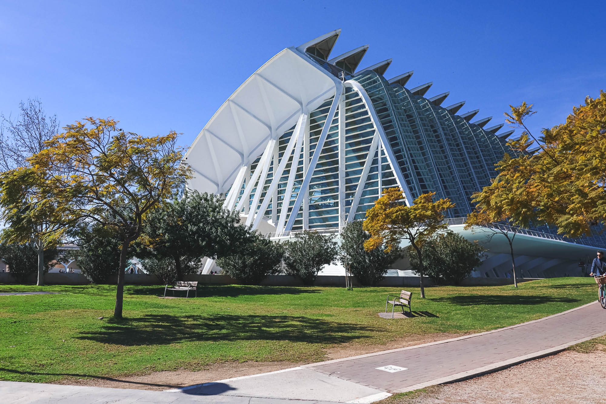 Science Museum (Museo de las Ciencias) from the Turia Gardens (Jardín del Turia), Valencia