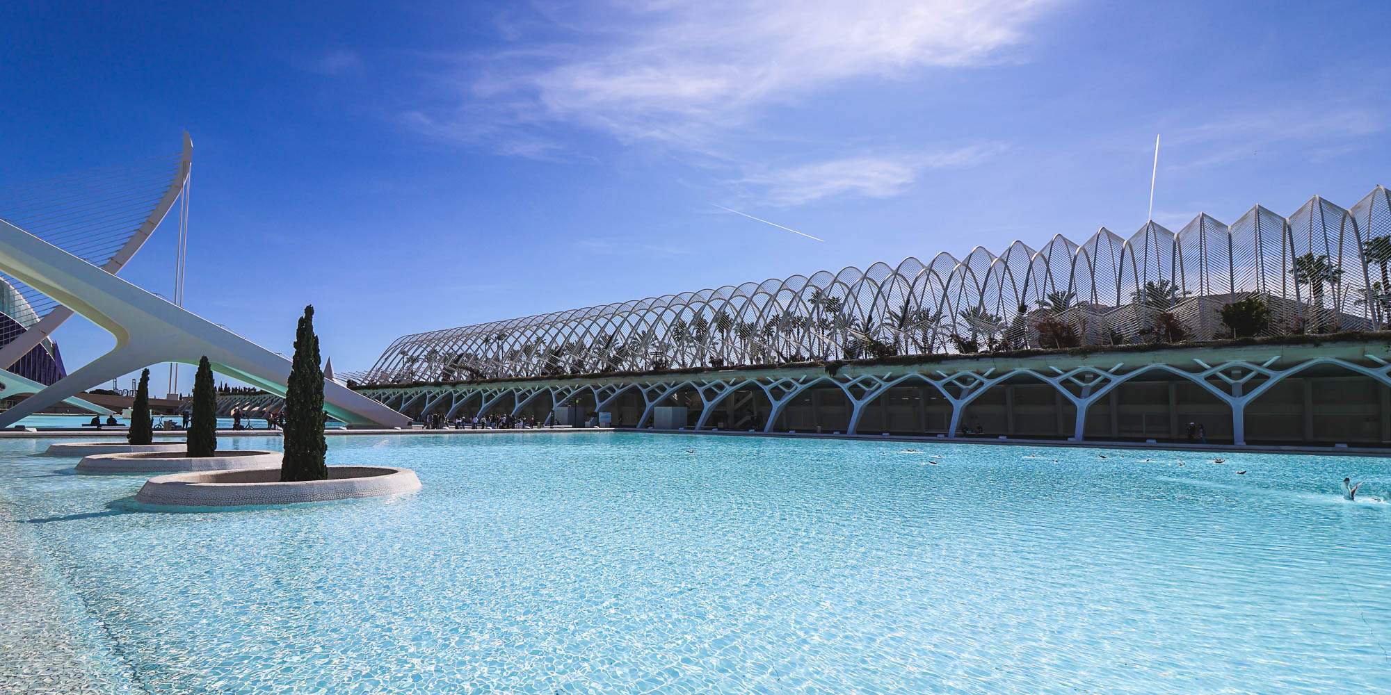 L'Umbracle from outside in the City of Arts and Science, Valencia