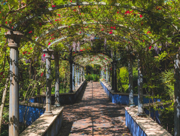 Rose gardens of Botanic Gardens "Jardín de l’Albarda", Denia, Spain