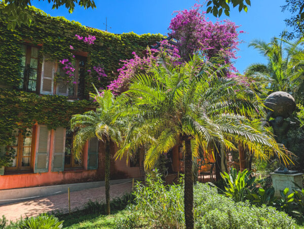 Jardín de l’Albarda (Denia)during summer.