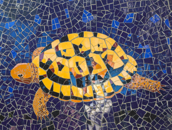 Tortoise ceramic tile mosaic in Botanic Gardens "Jardín de l’Albarda", Denia, Spain