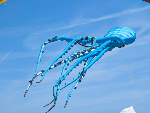 The International Wind Festival of Castellon 2026, Spain 8