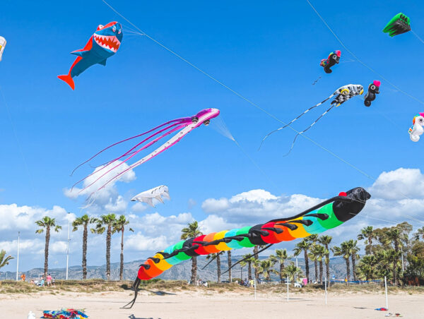The International Wind Festival of Castellon 2026, Spain 4