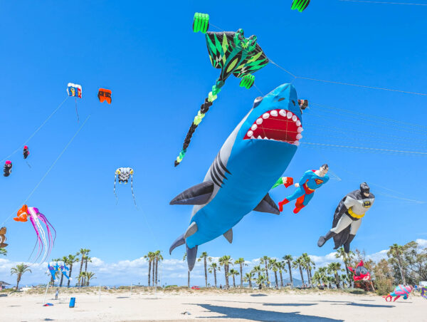 The International Wind Festival of Castellon 2026, Spain 6